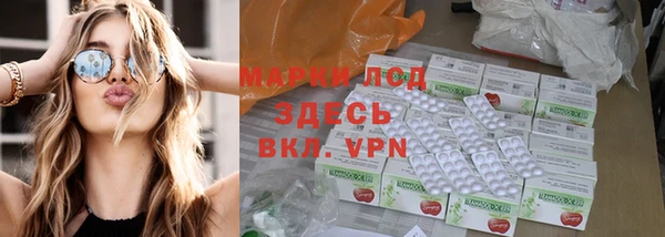 гидропоника Гусев