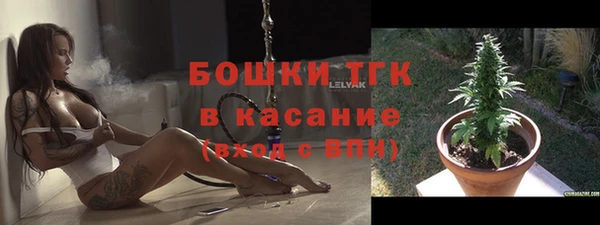 тгк Гусь-Хрустальный