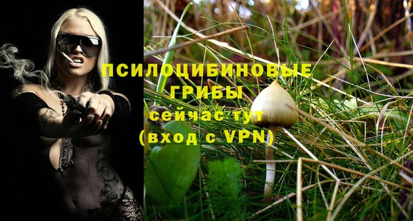 тгк Гусь-Хрустальный