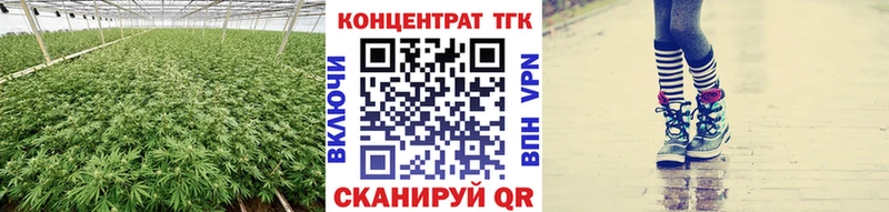 Купить закладки  Кызыл  ТГК гашишное масло 