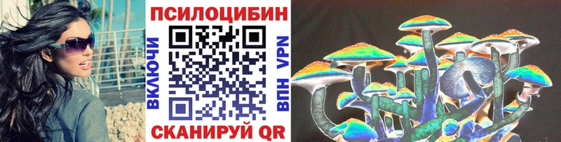 Купить закладки  Кызыл  Псилоцибиновые грибы MAGIC MUSHROOMS 